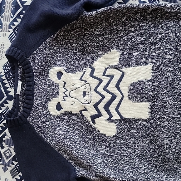 GAP Kids Little Boys Sweaters Lot of Two (2) - Picture 2 of 8